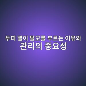 두피 열이 탈모를 부르는 이유와 관리의 중요성 7 두피 열이 탈모를 부르는 이유와 관리의 중요성