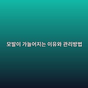 모발이 가늘어지는 이유와 체계적인 관리법 5 모발이 가늘어지는 이유와 관리방법