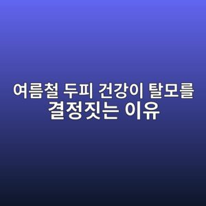 여름철 두피 건강이 탈모를 결정짓는 이유 2 ec97aceba684ecb2a0 eb9190ed94bc eab1b4eab095ec9db4 ed8388ebaaa8eba5bc eab2b0eca095eca793eb8a94 ec9db4ec9ca0 1786347130