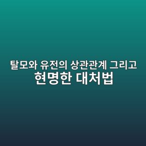 탈모와 유전의 상관관계 그리고 현명한 대처법 3 탈모와 유전의 상관관계 그리고 현명한 대처법