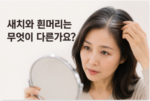 새치와 흰머리 차이는 무엇일까? 원인부터 관리법까지 총정리 7 새치와 흰머리 차이는 무엇일까? 원인부터 관리법까지 총정리