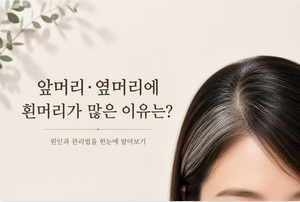 앞머리와 옆머리에 유독 흰머리가 집중되는 이유와 관리 방법 3 앞머리와 옆머리에 유독 흰머리가 집중되는 이유와 관리 방법