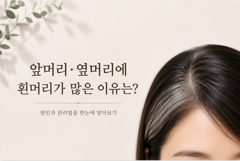 앞머리와 옆머리에 유독 흰머리가 집중되는 이유와 관리 방법