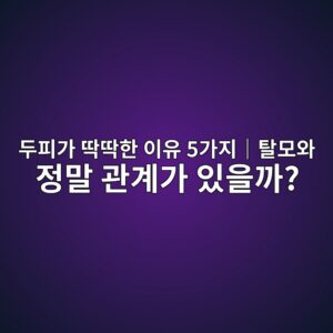 두피가 딱딱한 이유 5가지|탈모와 정말 관계가 있을까? 1 두피가 딱딱한 이유 5가지|탈모와 정말 관계가 있을까?