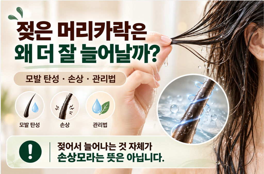 젖은 머리카락은 왜 잘 늘어날까? 모발 탄성·손상·올바른 관리법 1 image 170
