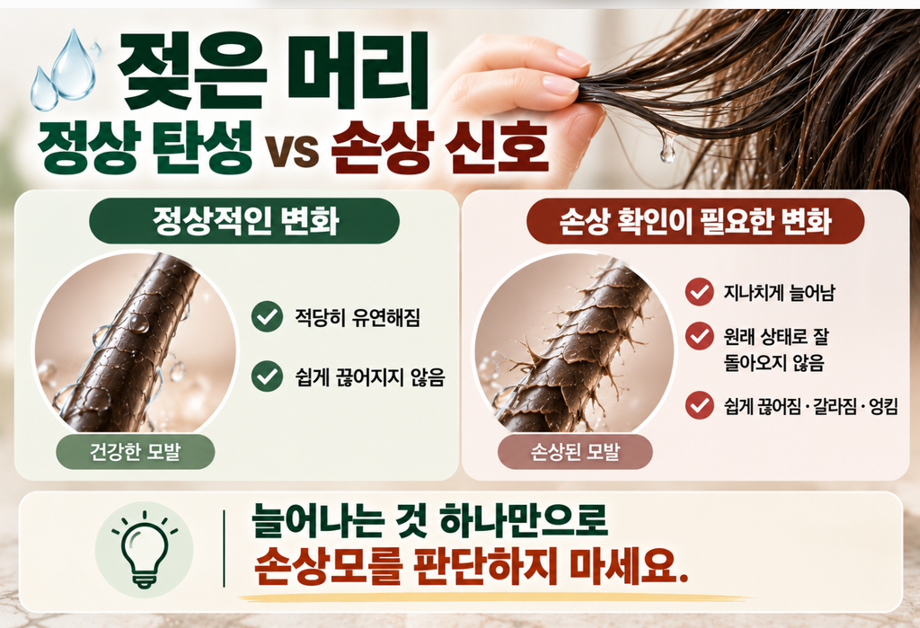 젖은 머리카락은 왜 잘 늘어날까? 모발 탄성·손상·올바른 관리법 3 image 172