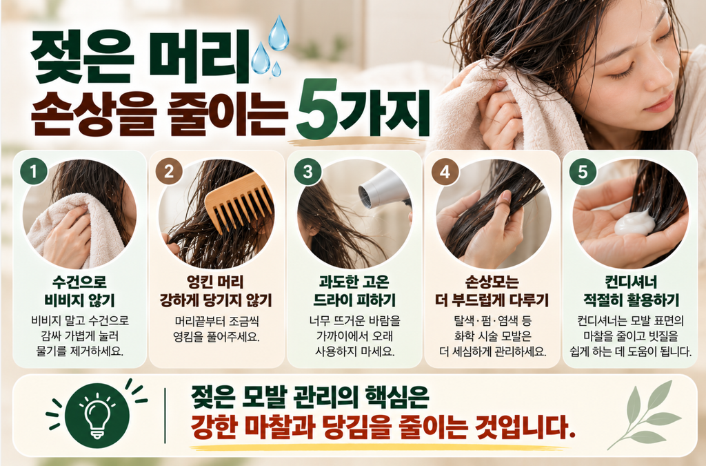젖은 머리카락은 왜 잘 늘어날까? 모발 탄성·손상·올바른 관리법 5 image 174