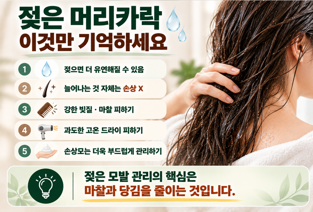 젖은 머리카락은 왜 잘 늘어날까? 모발 탄성·손상·올바른 관리법 6 image 175