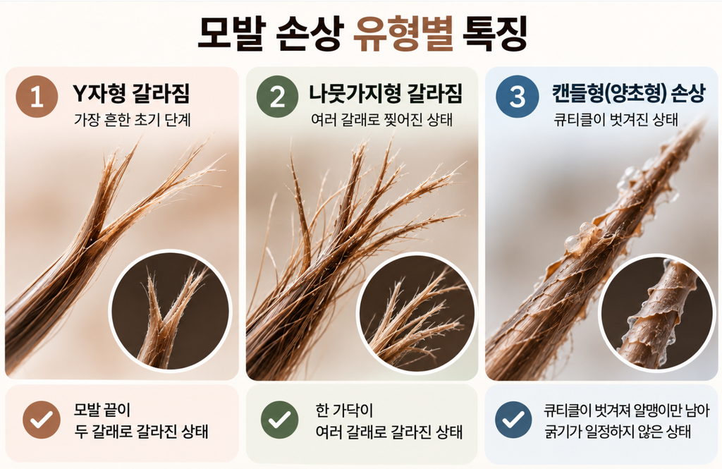 머리카락 끝이 갈라지는 원인과 건강한 머릿결을 위한 완벽 가이드 3 image 18